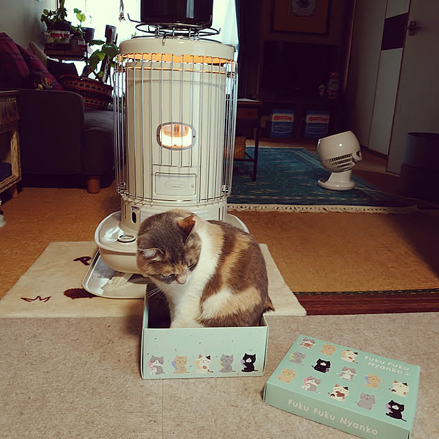 fukuさんの実例写真