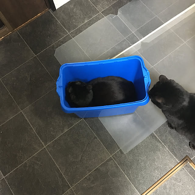 kenoさんの実例写真