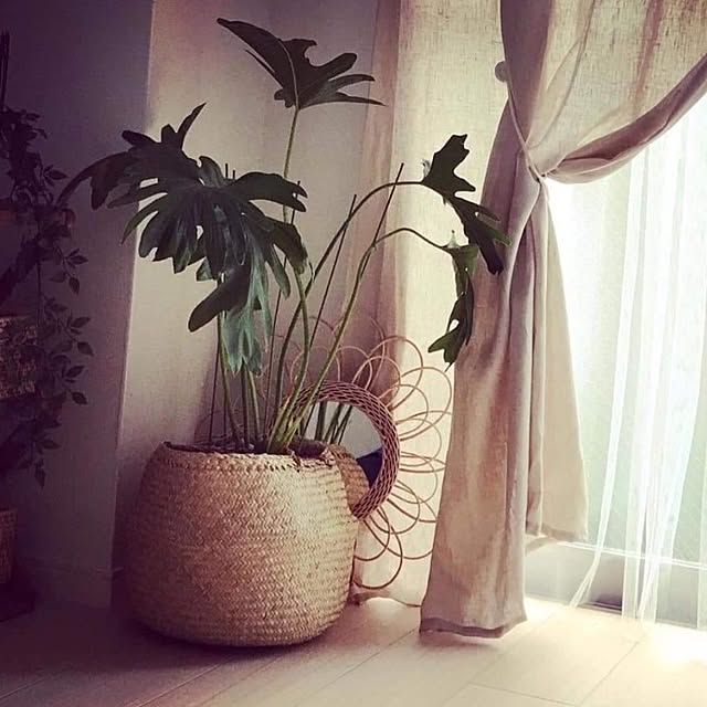Yoko622さんの実例写真