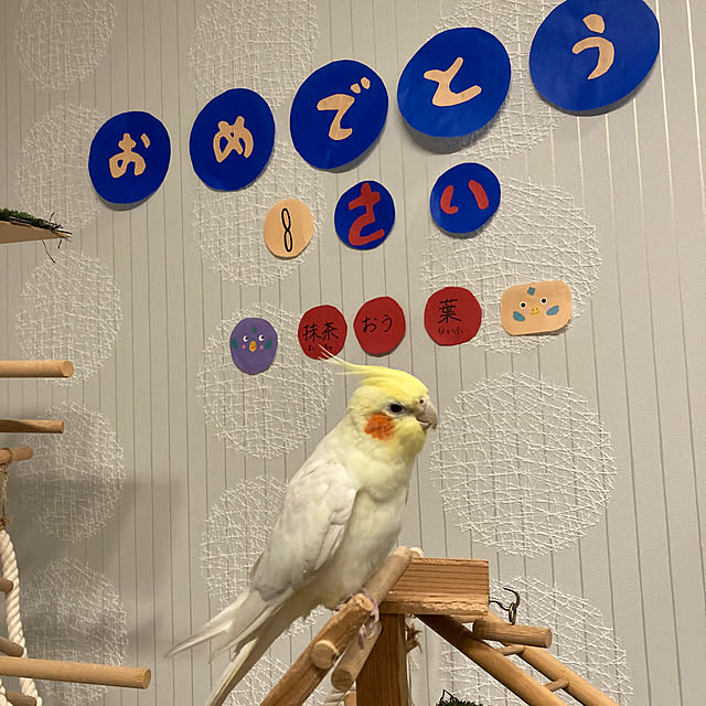 toratanさんの部屋