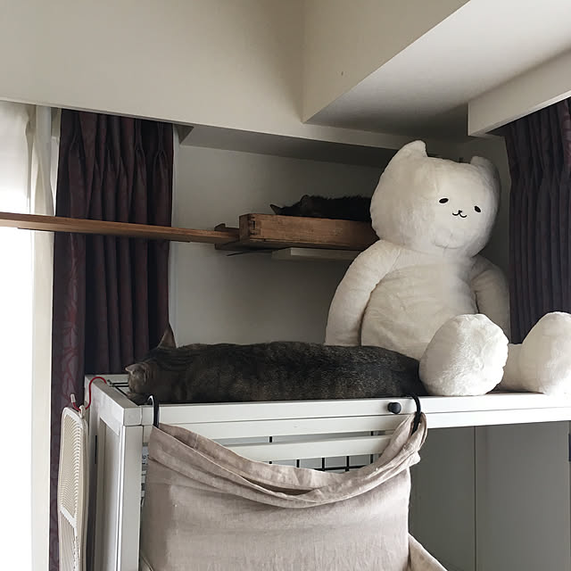 mikomaruさんの実例写真