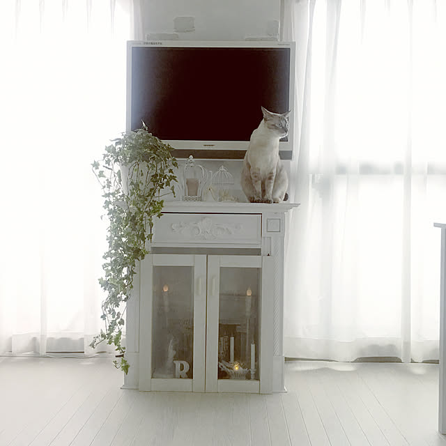noelさんの実例写真