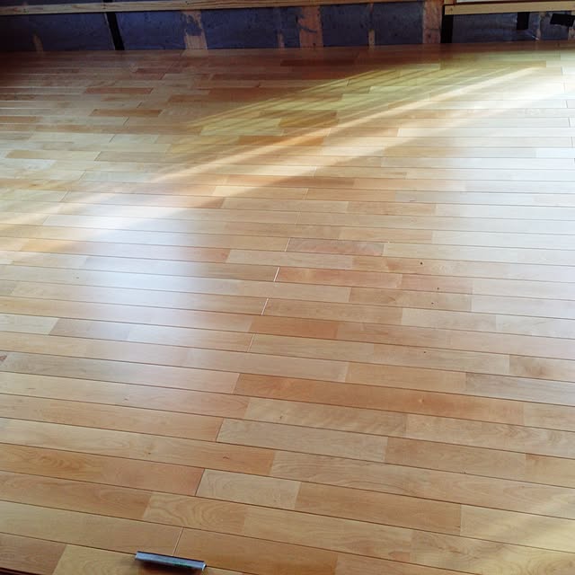 aripiro.MAXさんの実例写真