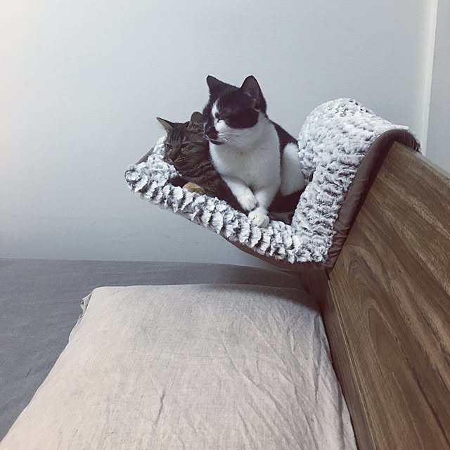 mikomaruさんの実例写真