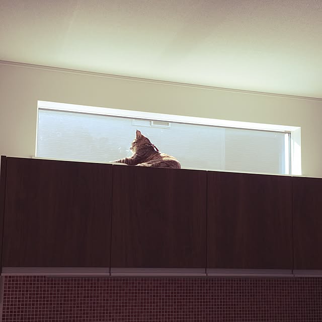 KANさんの実例写真