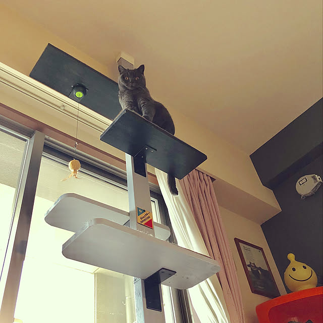 Shojiさんの実例写真
