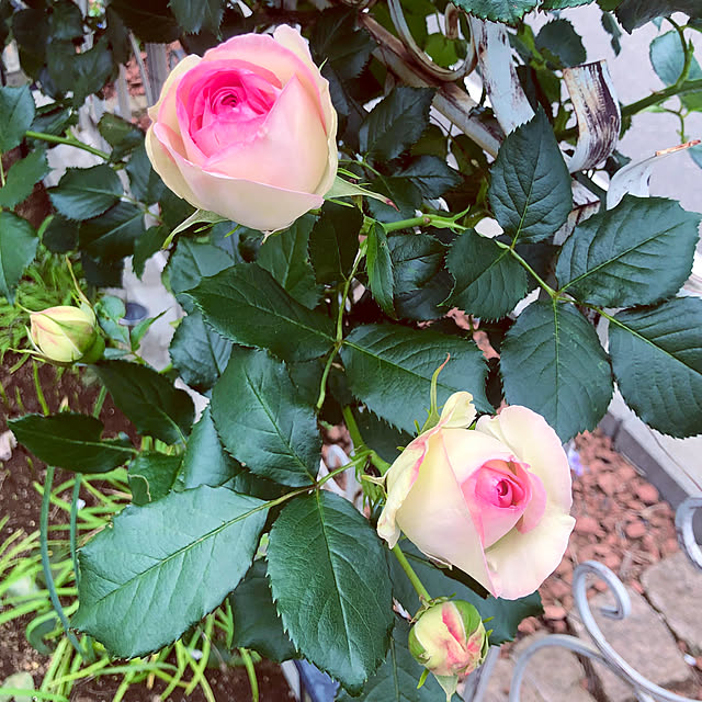 tomoさんの部屋