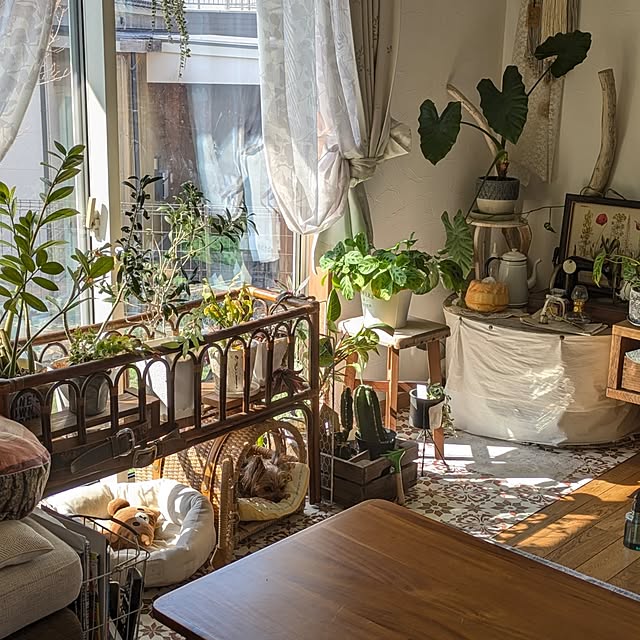 akiさんの実例写真