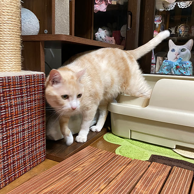 ike2910さんの部屋