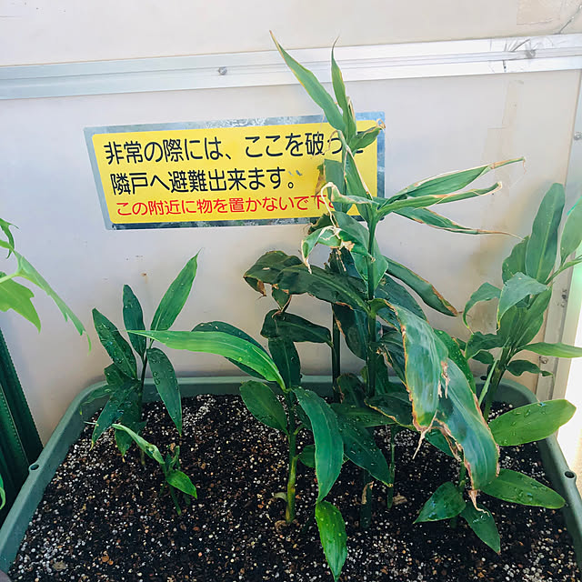 hanachanさんの部屋