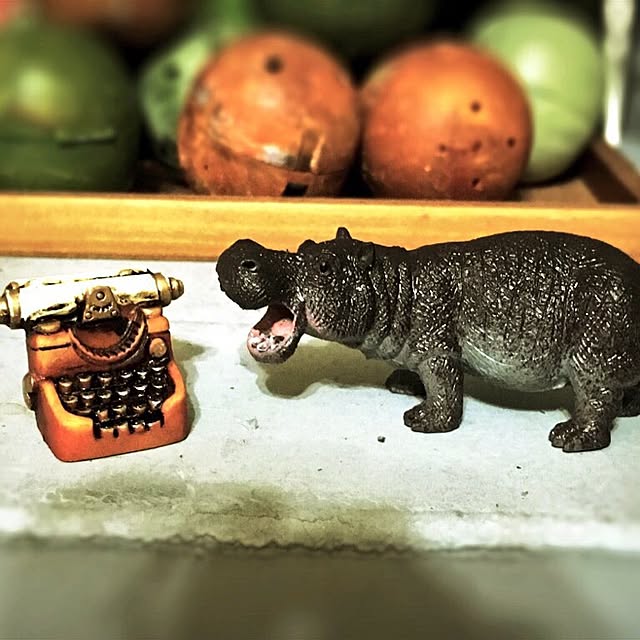 ramuchop3000さんの実例写真