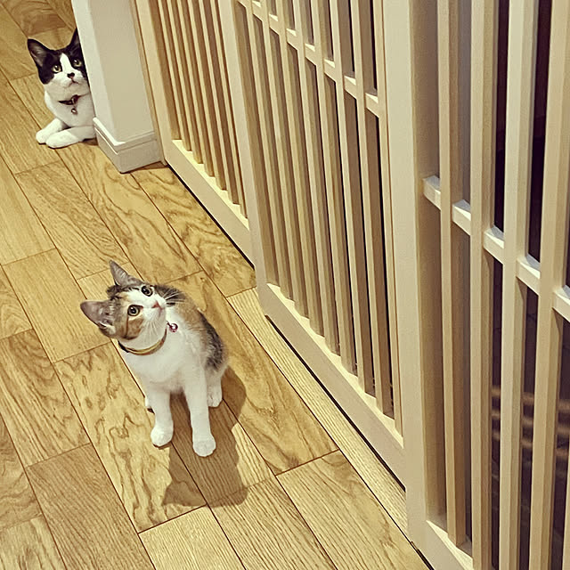 mieさんの実例写真