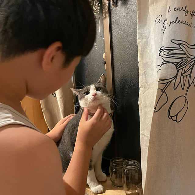 nekosamaさんの実例写真