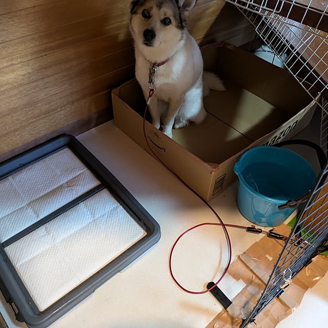 asaさんの実例写真