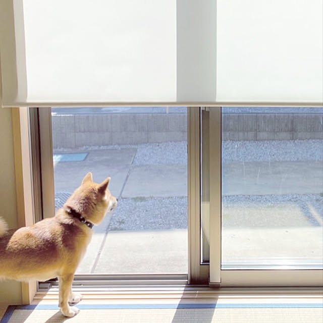 natsumiさんの実例写真