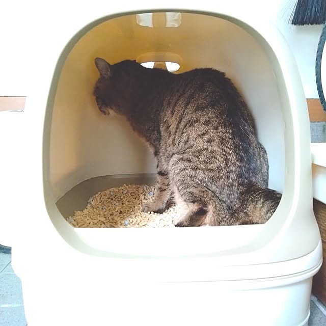cocoroさんの実例写真