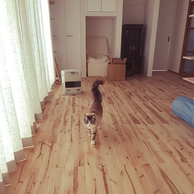 masyacanonさんの実例写真