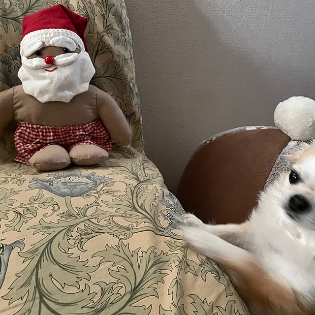 natsumiさんの部屋