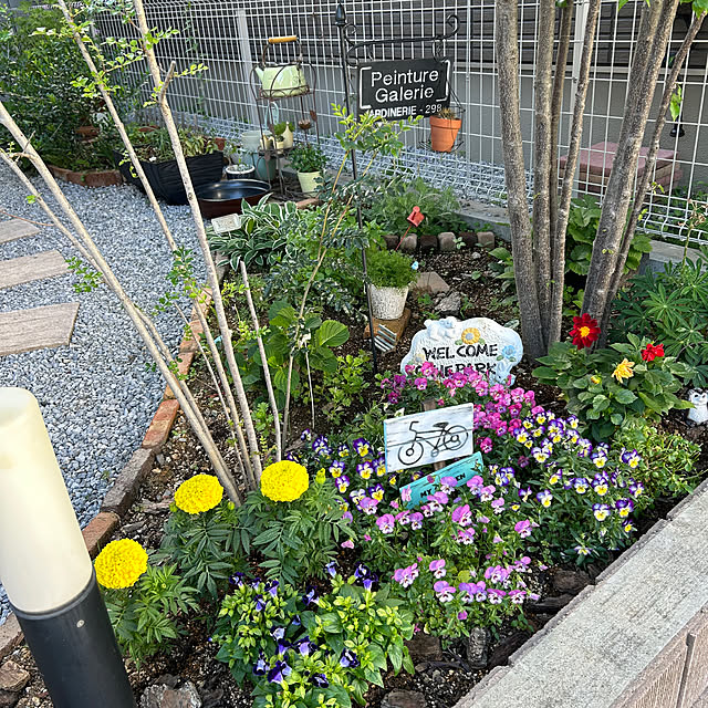megmagさんの実例写真