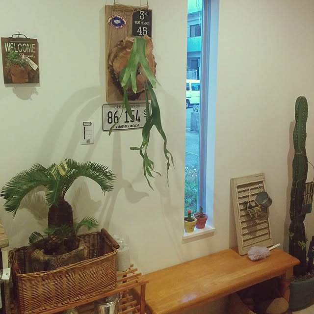 Isseiさんの実例写真