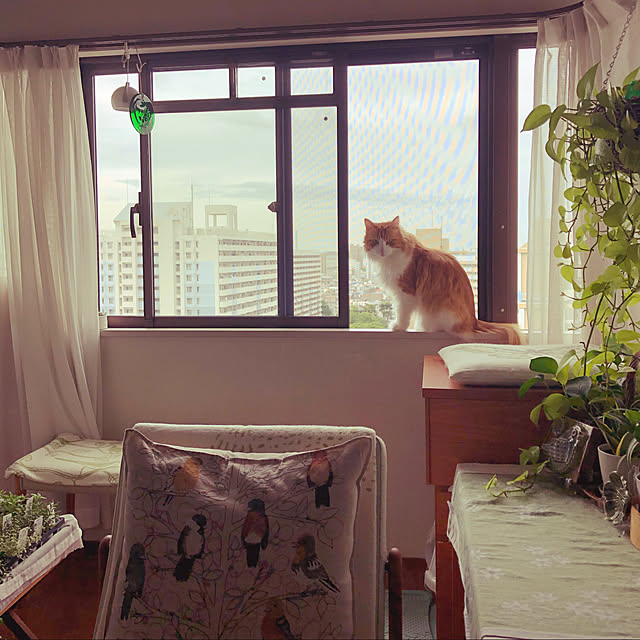 uchidaizuさんの実例写真