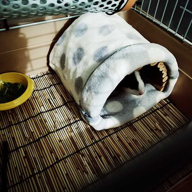 Subaruさんの実例写真
