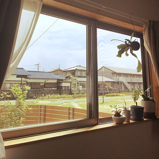 zjmamaさんの実例写真