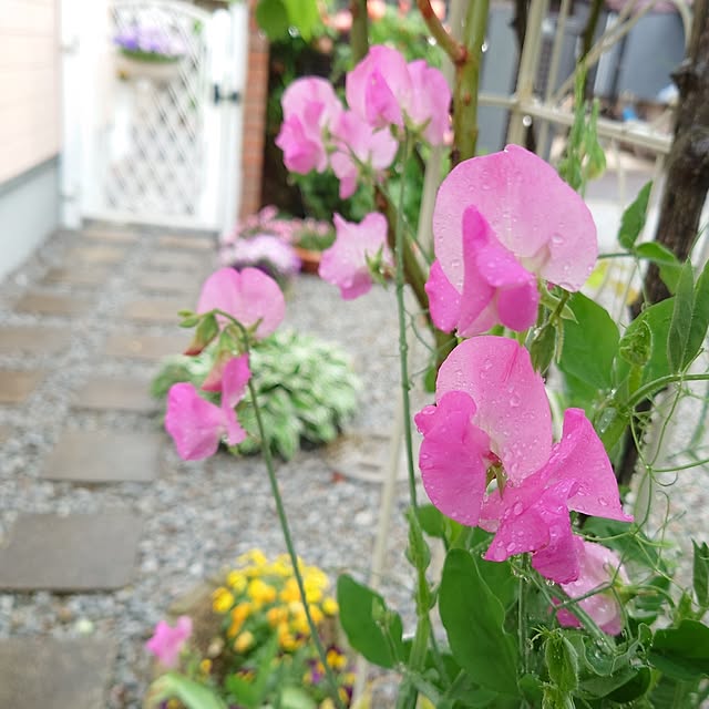 fleur-mamanさんの実例写真