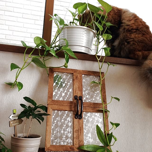 kayocoさんの実例写真
