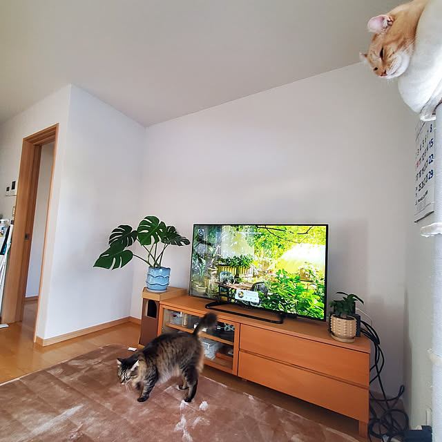 makoさんの実例写真