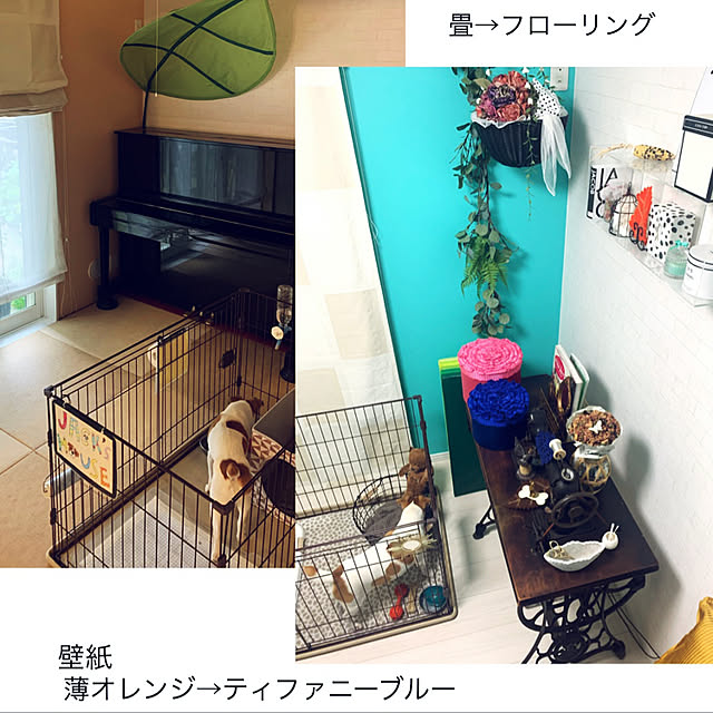 kittyさんの実例写真