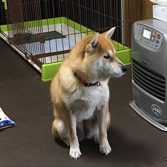 kyukoさんの実例写真