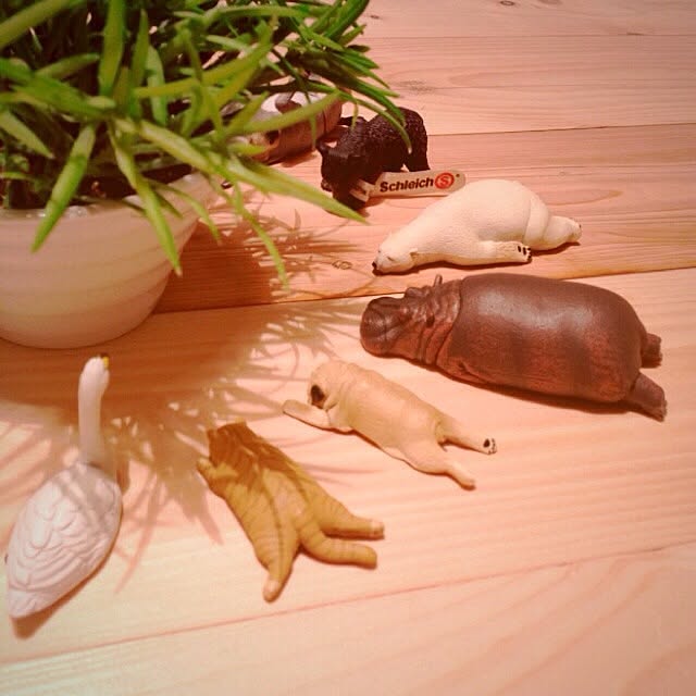 aiさんの実例写真