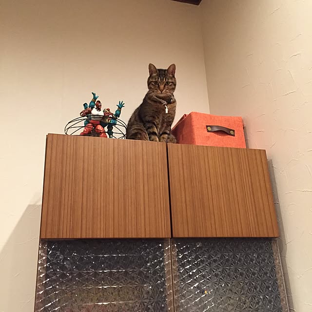 TENPAMさんの実例写真