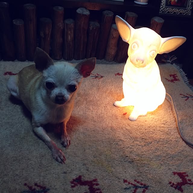 tubutanさんの実例写真