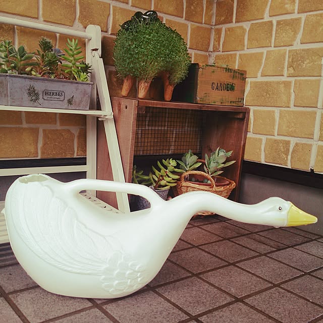 cactus0610さんの実例写真