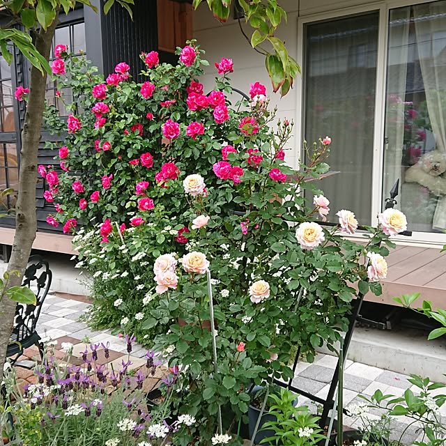 tomotomoさんの部屋