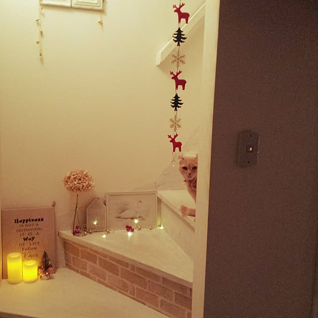 cottonさんの実例写真