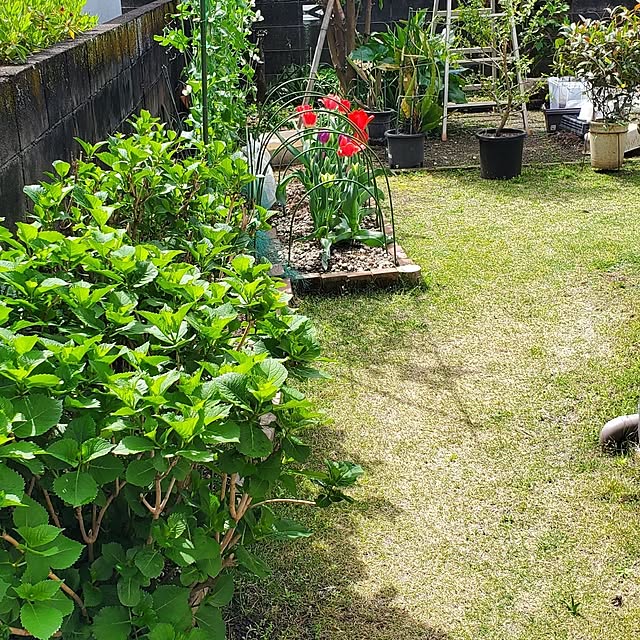 ramuramuさんの部屋