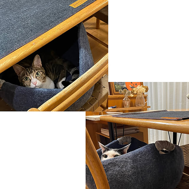 nobikoさんの部屋