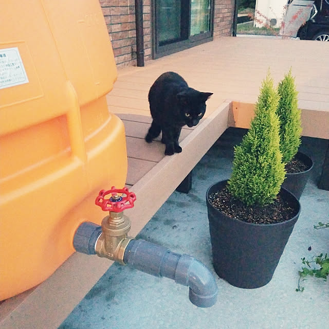 Daiさんの実例写真