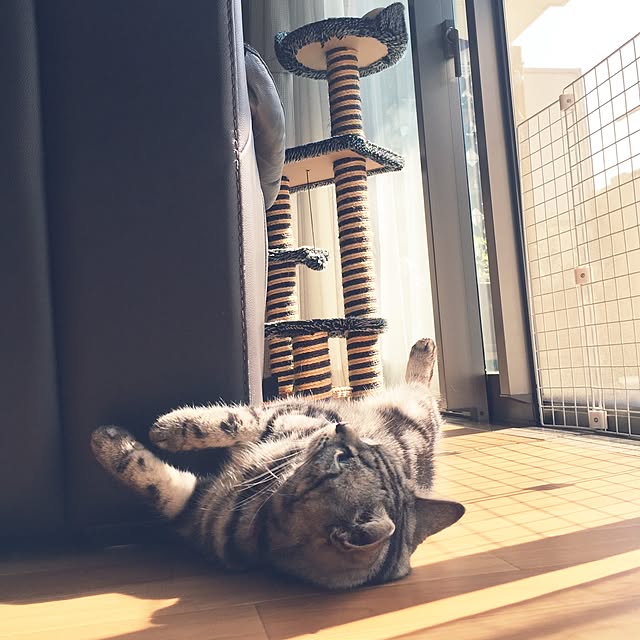hiyupan88さんの実例写真