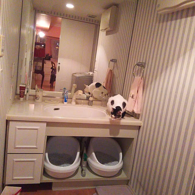 sakuraさんの実例写真