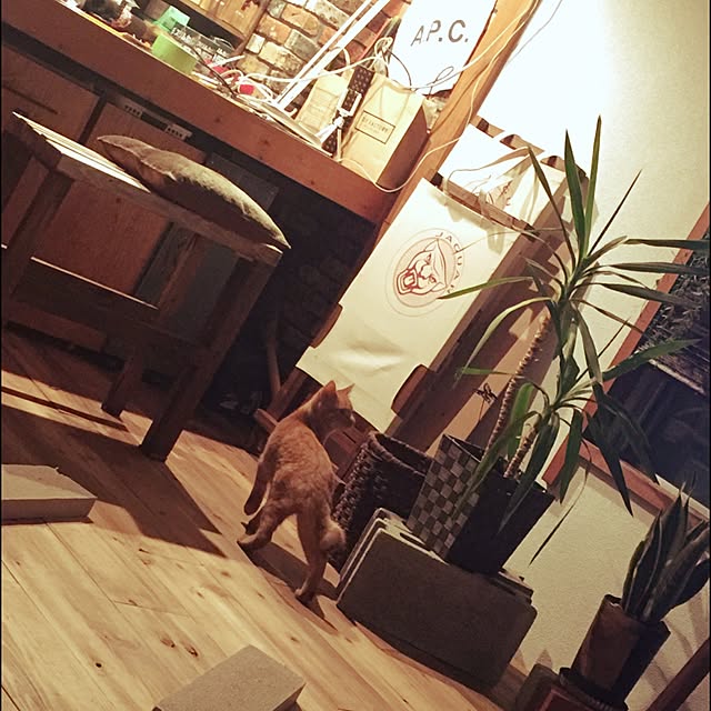 sumisumiさんの実例写真