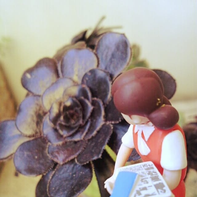 akr29さんの実例写真