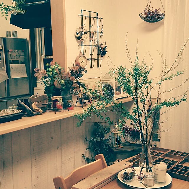 kochaさんの部屋