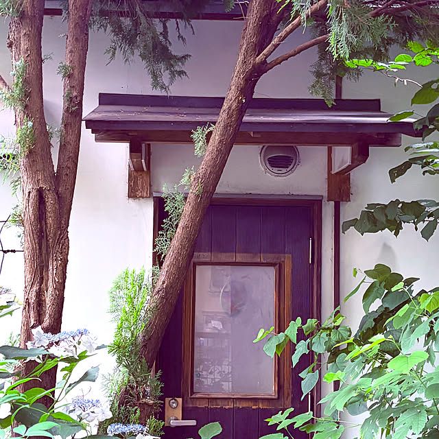 chacoさんの部屋