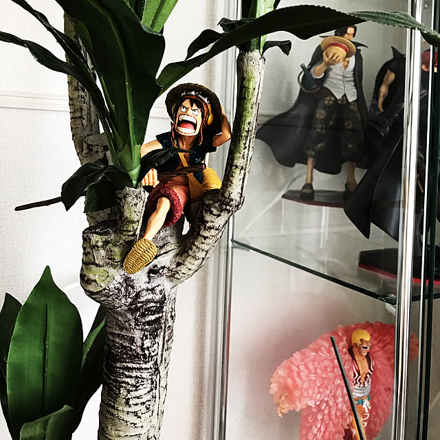 taichinさんの実例写真