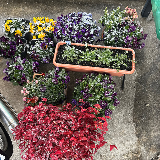 ritsukoさんの部屋