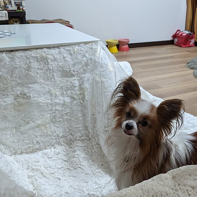 buddykoさんの部屋